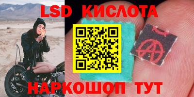 jwh Краснодар
