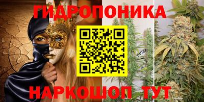 jwh Краснодар