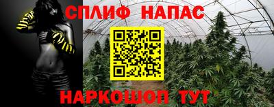 jwh Краснодар