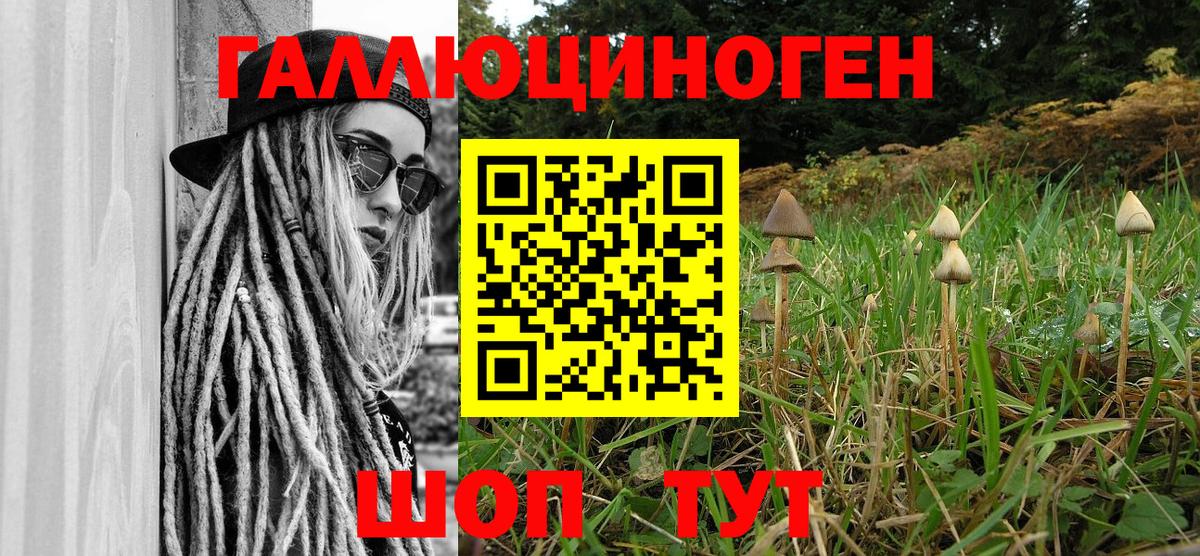 Галлюциногенные грибы Magic Shrooms  Галлюциногенные грибы прущие грибы  Вход с VPN  купить наркотики сайты  Ессентуки 