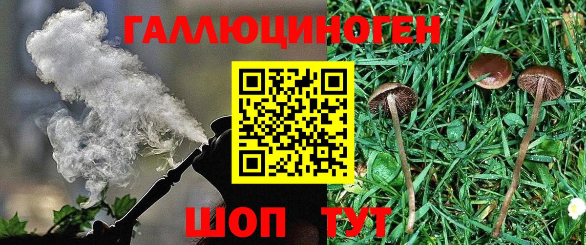 Галлюциногенные грибы Cubensis Ессентуки